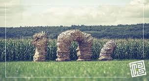 Maislabyrinth Liederbach